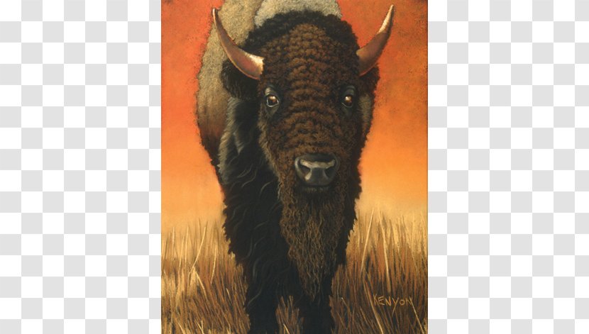 Bison Pastel Pakistani Dramas Art - Yak - Buffalo Animal Transparent PNG