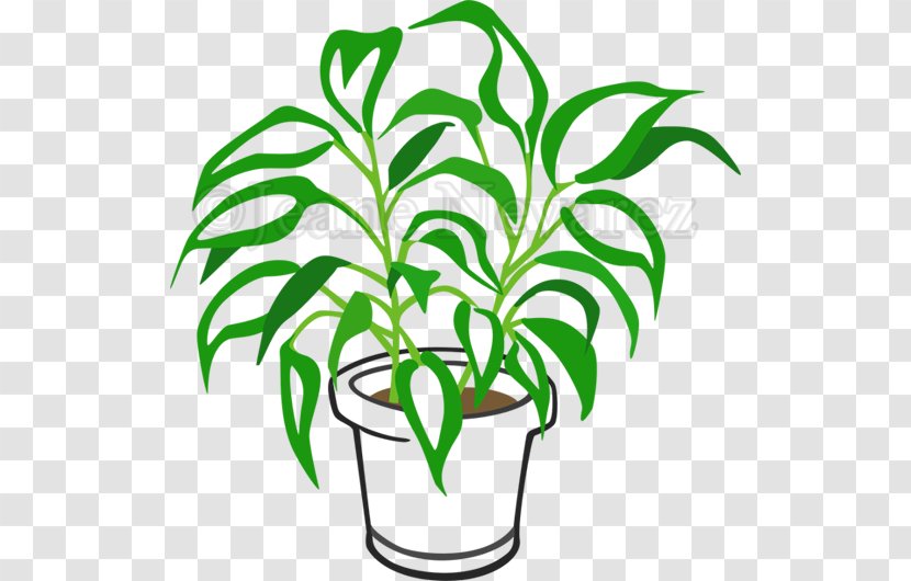 Clip Art Flowerpot Plant Stem Leaf Line Transparent PNG