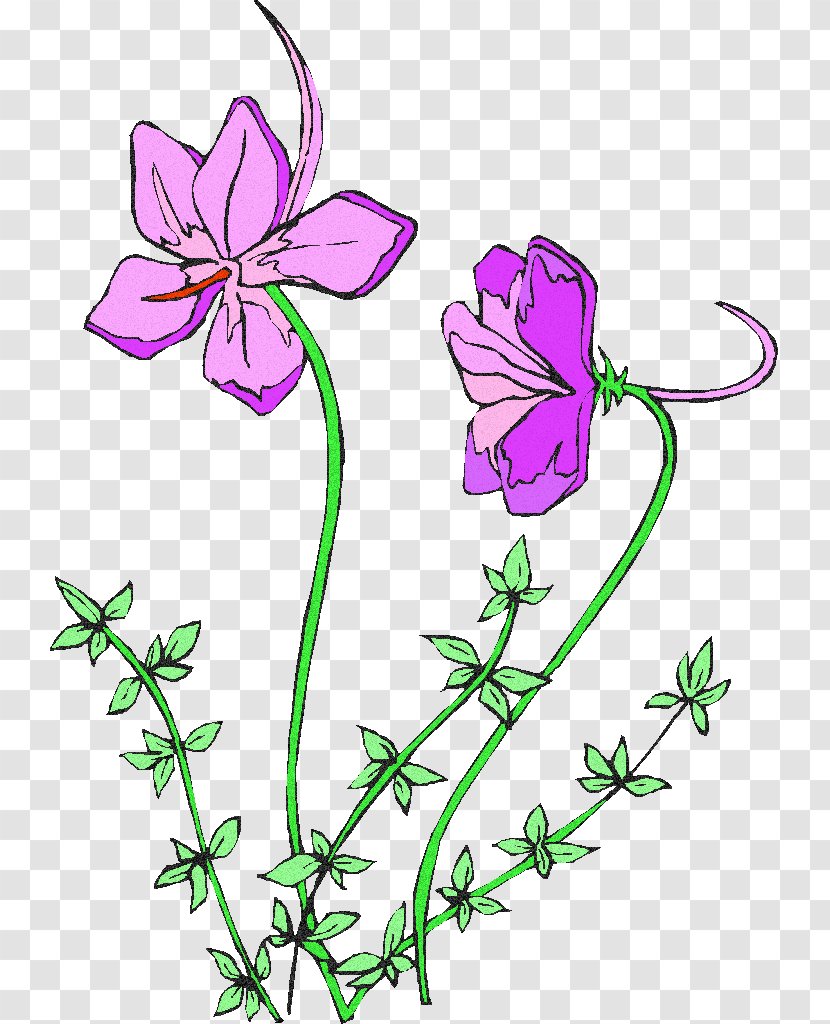 Floral Design Cut Flowers Plant Stem Leaf - Pink M Transparent PNG