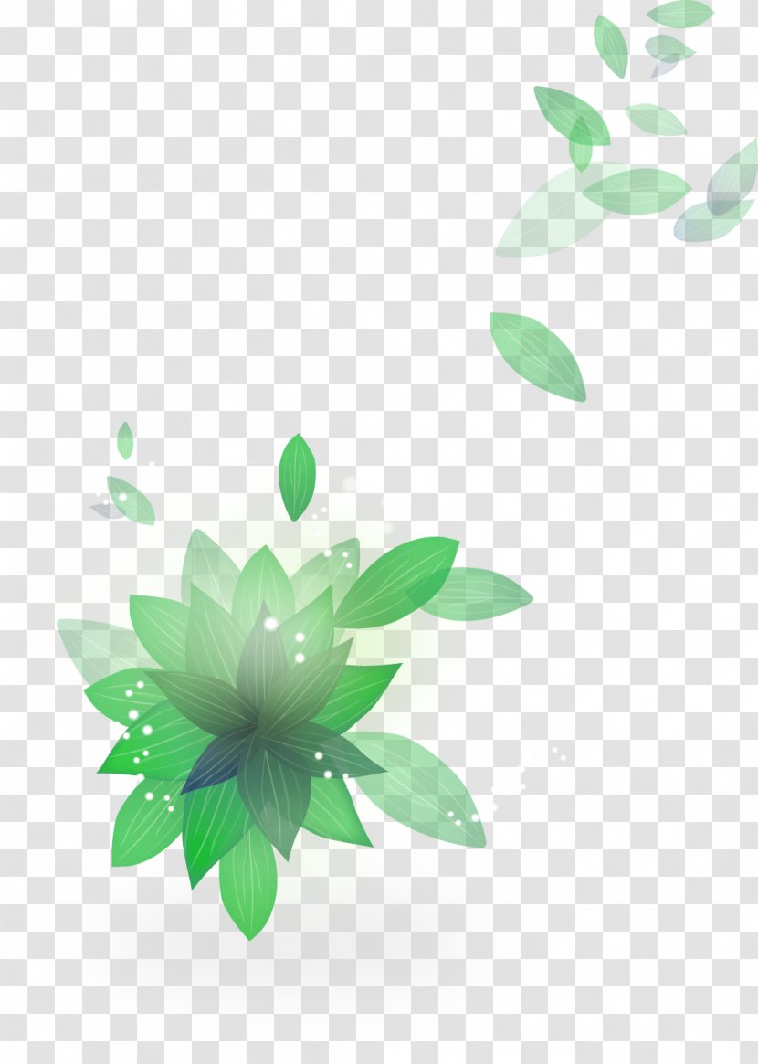 Green Leaf Material - Petal - Fresh Lotus Floating Transparent PNG