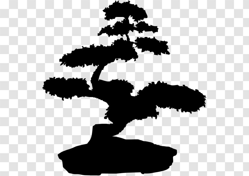 Bonsai Tree Wall Decal - Silhouette Transparent PNG