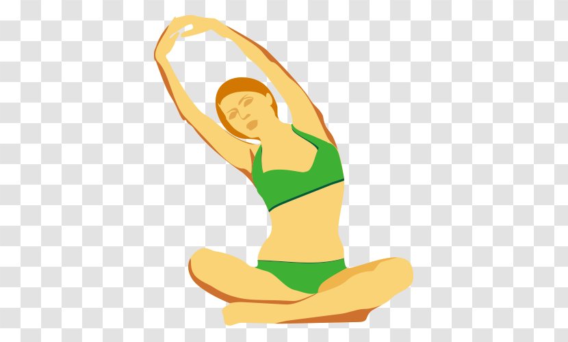 Yoga Physical Exercise - Series - Sports Gymnastics Transparent PNG