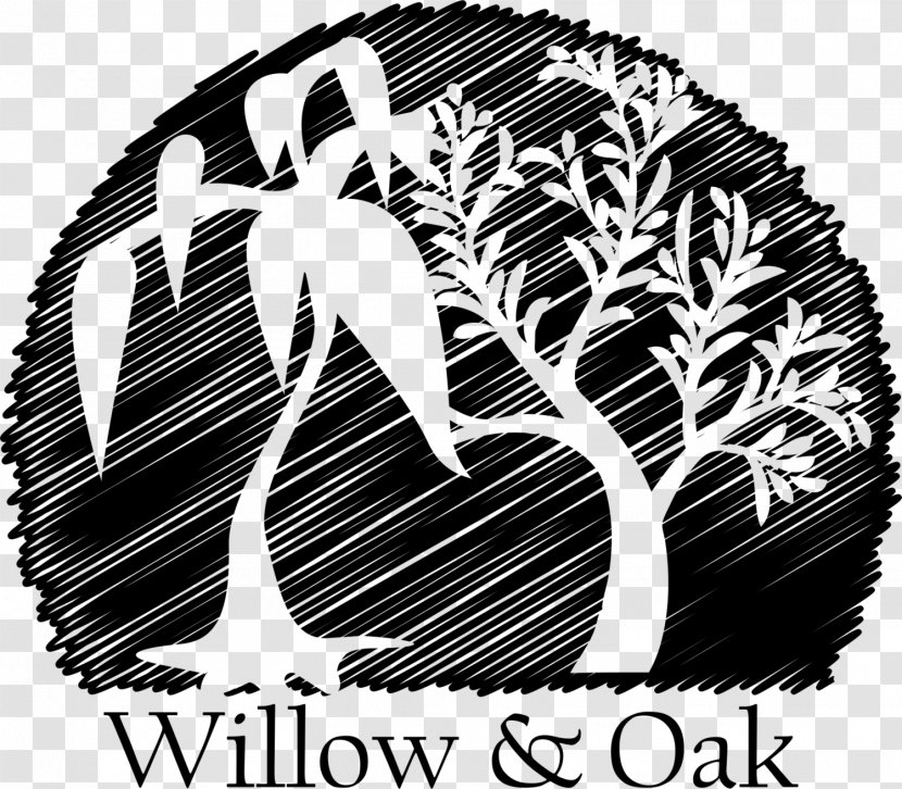 Johnson & Logo Environmental Consulting Consultant Font - Willow Bark Transparent PNG