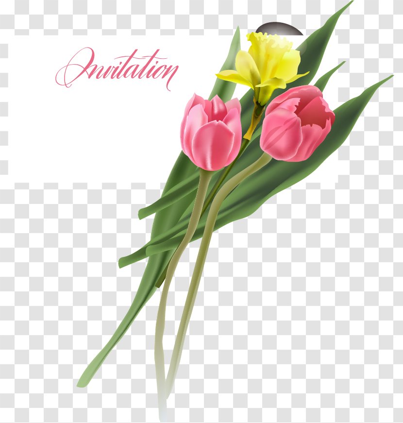 Flower Tulip Euclidean Vector - Vecteur Transparent PNG