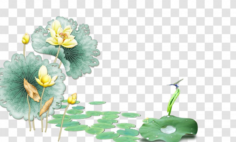 Wall Nelumbo Nucifera Floral Design - Flora - Lotus Transparent PNG