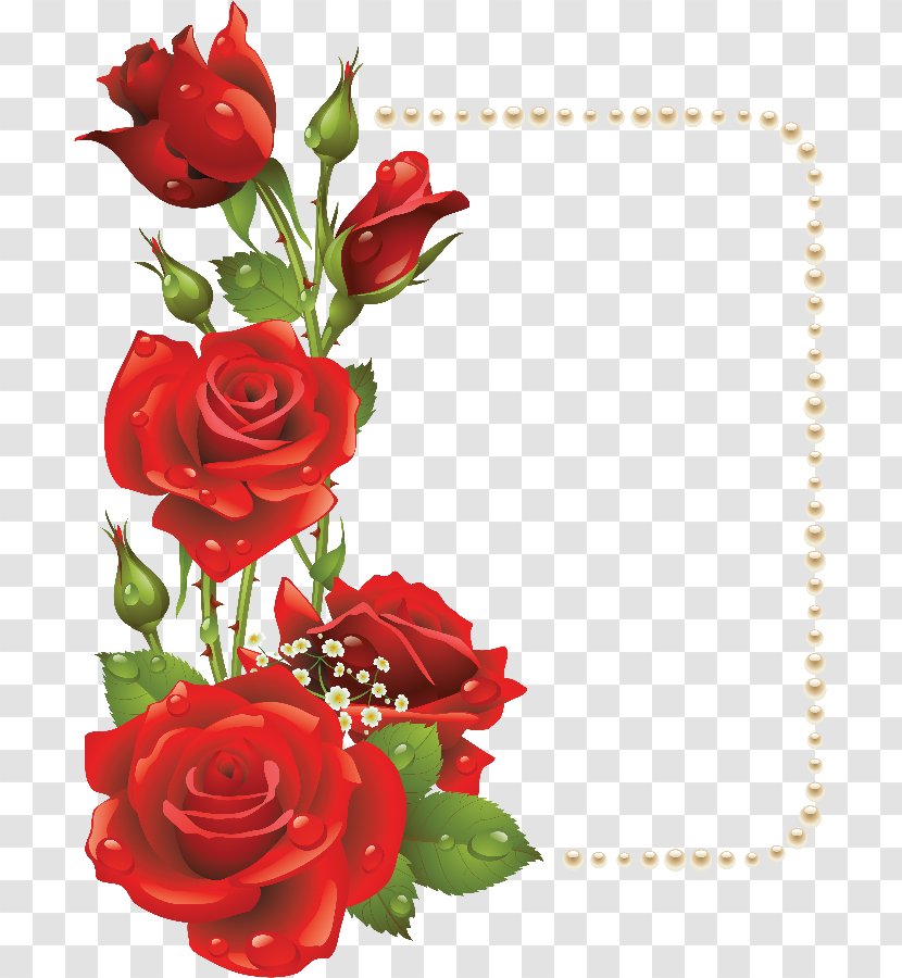 Flower Picture Frames Rose Clip Art - Floral Design - Red Border Transparent PNG