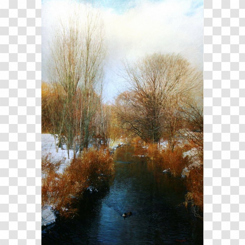 Art Gallery Of Mississauga Visual Arts Museum Artist - Water - Warm Winter Transparent PNG