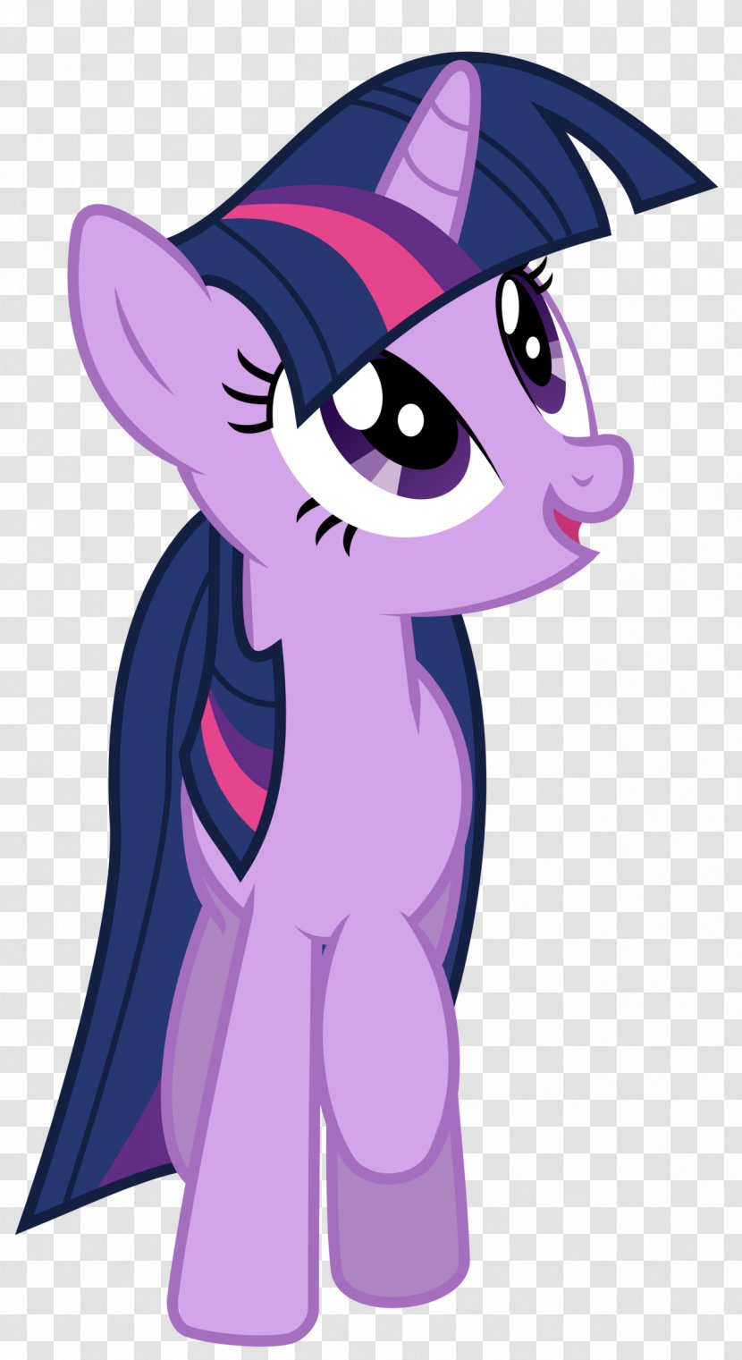 Twilight Sparkle Rainbow Dash Applejack DeviantArt Film - Cat Like Mammal Transparent PNG