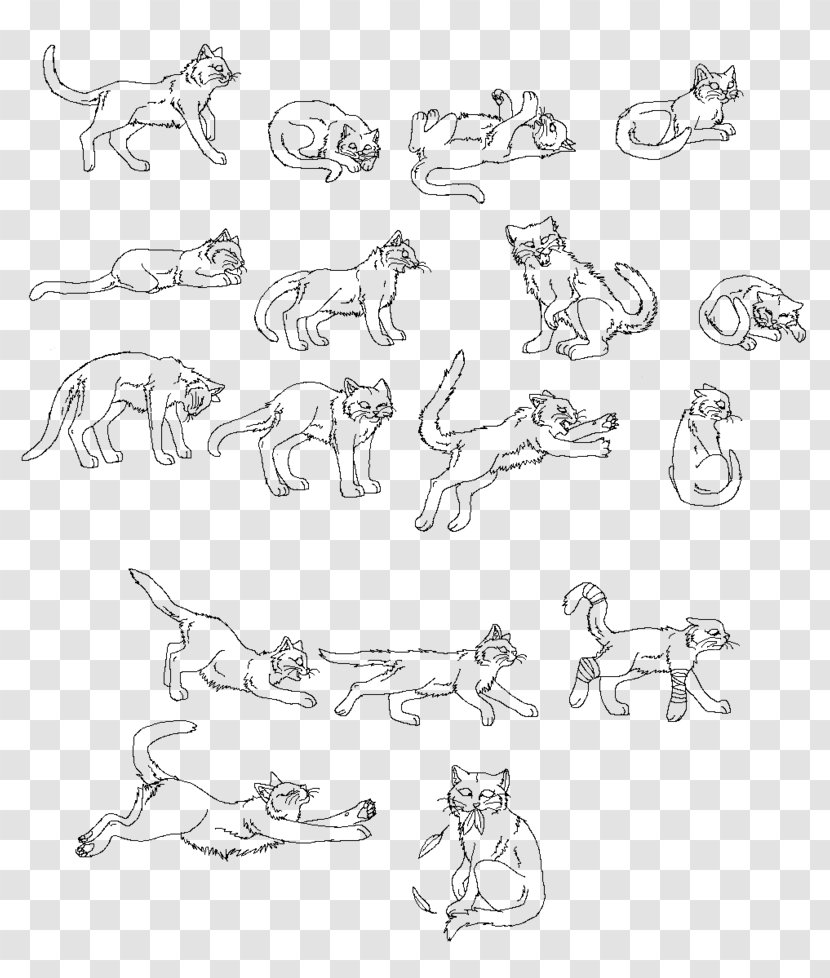 Line Art Carnivora Sketch - Drawing - Cat Outline Transparent PNG