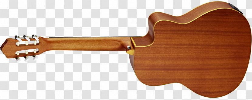 Steel-string Acoustic Guitar Classical Resonator - Watercolor Transparent PNG