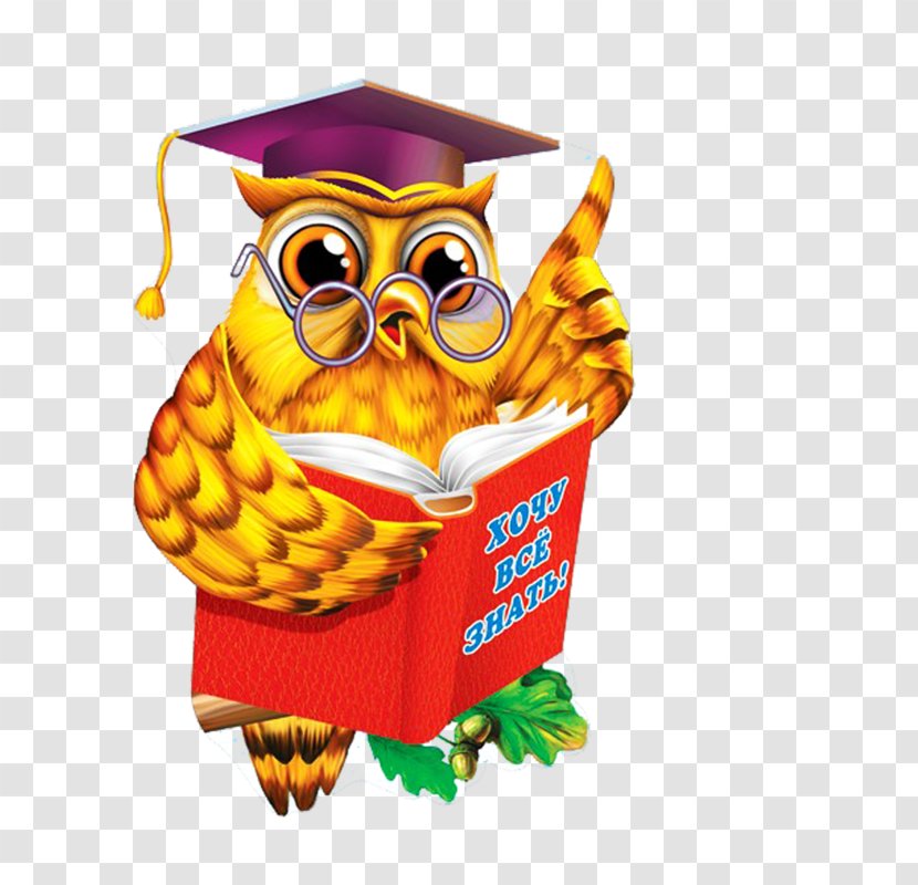 Diploma Paper Kindergarten Gramota Graduation Ceremony - Artikel - Dr. Cartoon Owl Painted Gold Transparent PNG