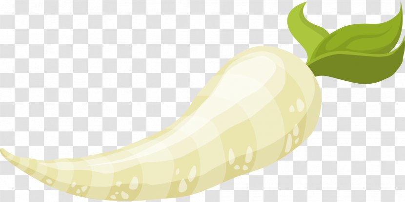 Root Vegetables Food Parsnip Clip Art - Fruit Transparent PNG