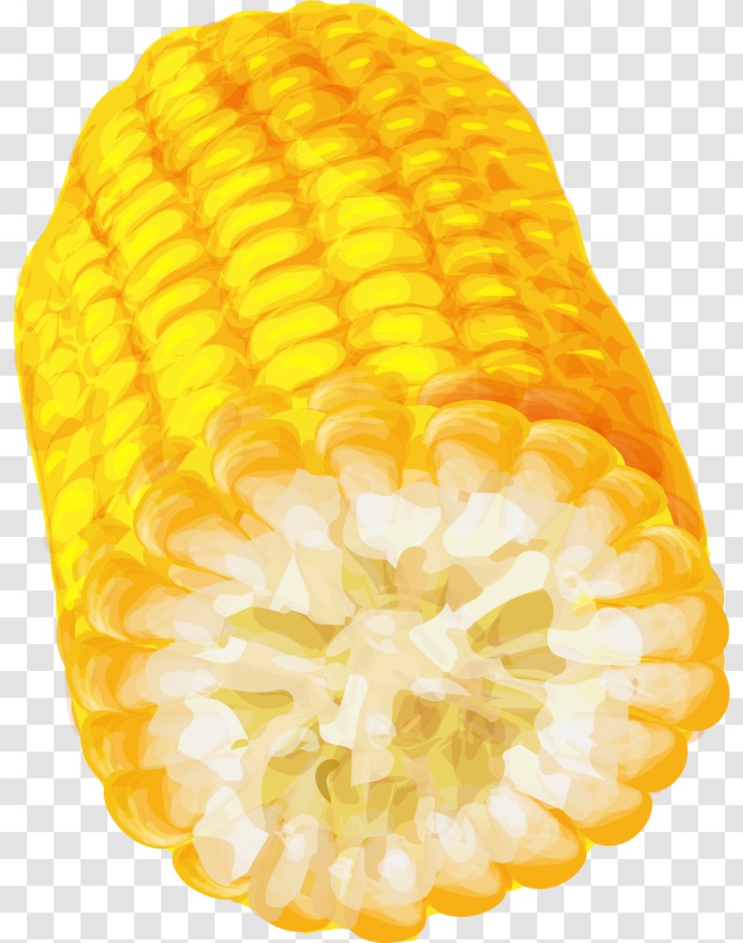 Corn On The Cob - Cuisine - Hand Painted Yellow Transparent PNG