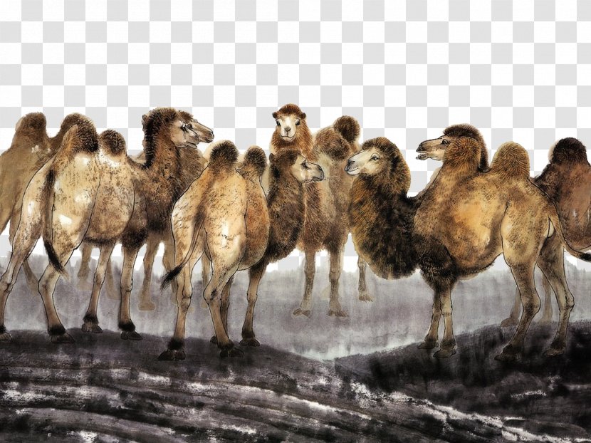Camel Chinese Painting Art - Wildlife - A Group Of Camels Transparent PNG