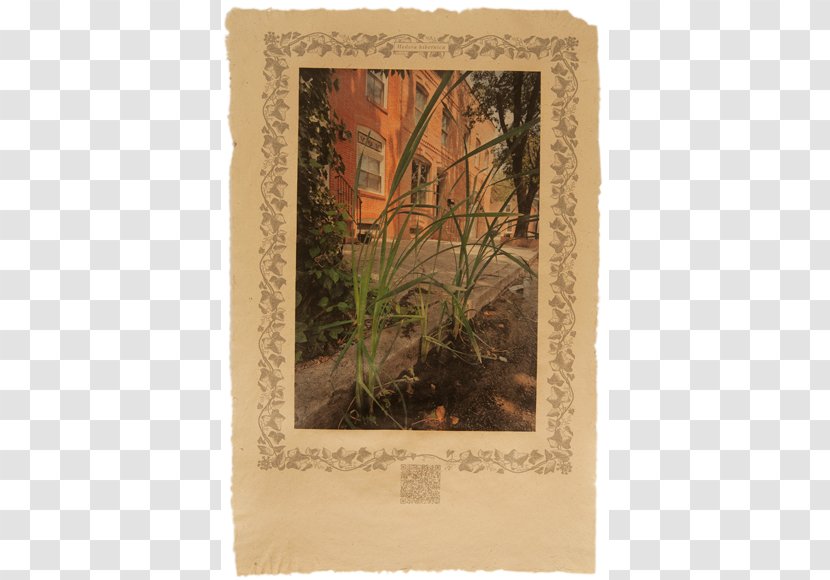 Picture Frames - Flora - Mulberry Watercolor Transparent PNG