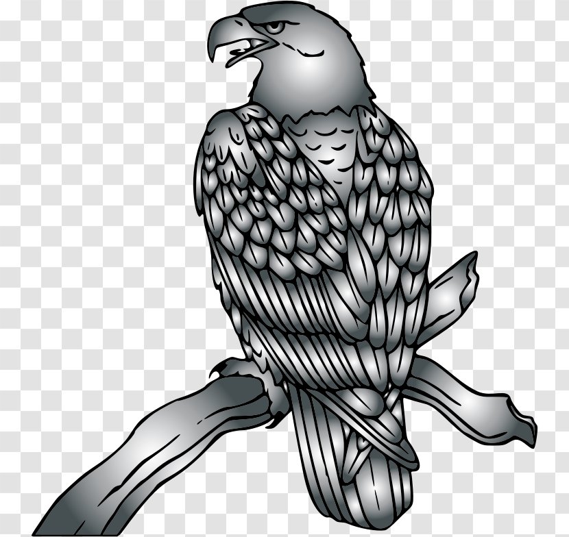 Bald Eagle Clip Art Hawk Openclipart - Osprey Transparent PNG
