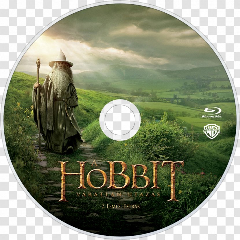 Gandalf Bilbo Baggins The Hobbit Wizard - An Unexpected Journey Transparent PNG