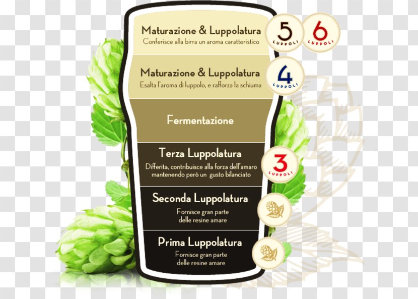 Beer Birrificio Angelo Poretti Common Hop Valganna Vedano Olona - Taste Transparent PNG