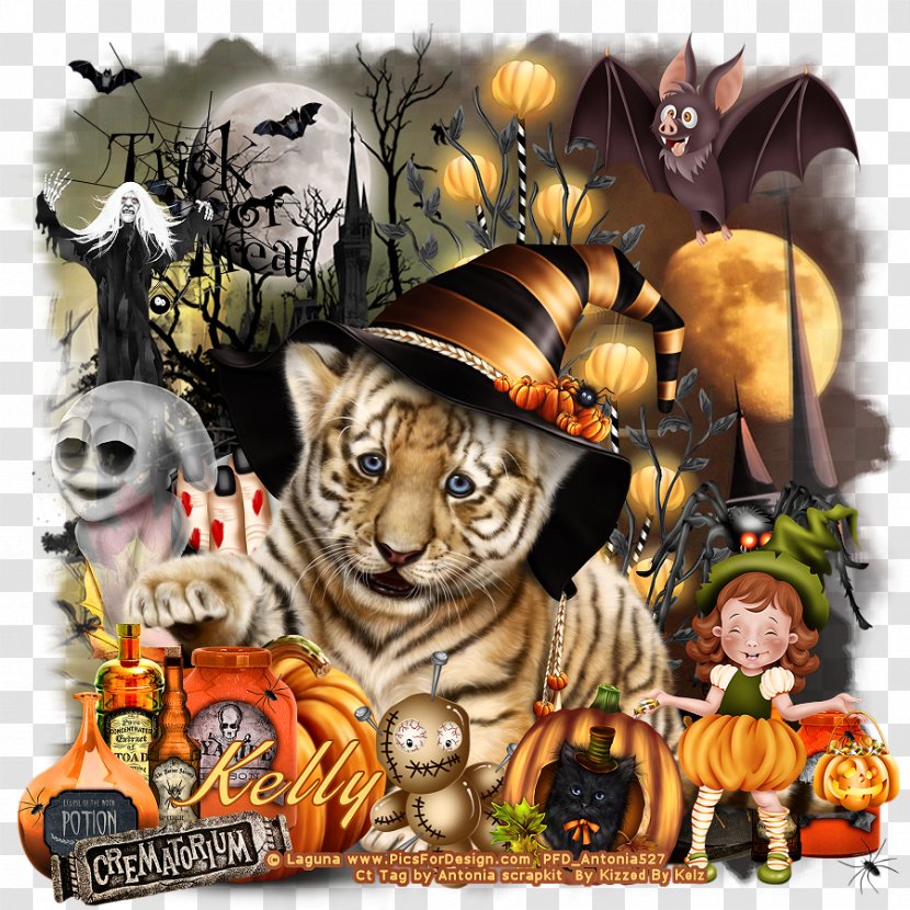 Tiger Fauna Cartoon Wildlife - Cat Like Mammal Transparent PNG