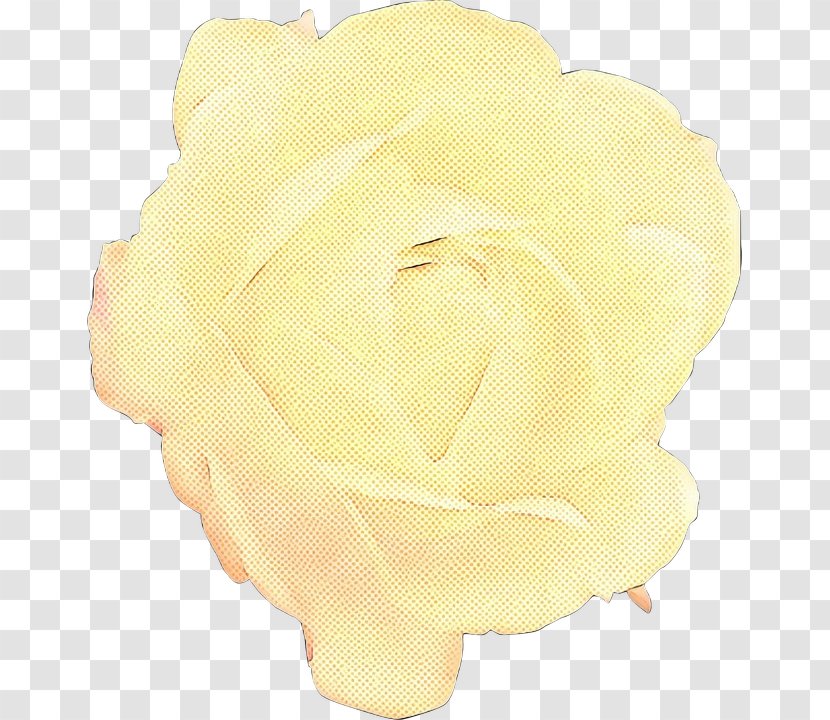 Beige Flower - Petal Transparent PNG