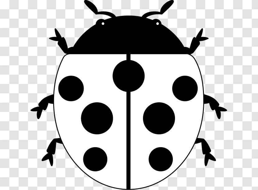 Ladybird Beetle Insect Clip Art Transparent PNG