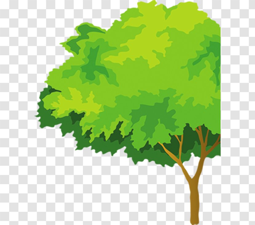 Cartoon Download Green - Tree - Plant Transparent PNG