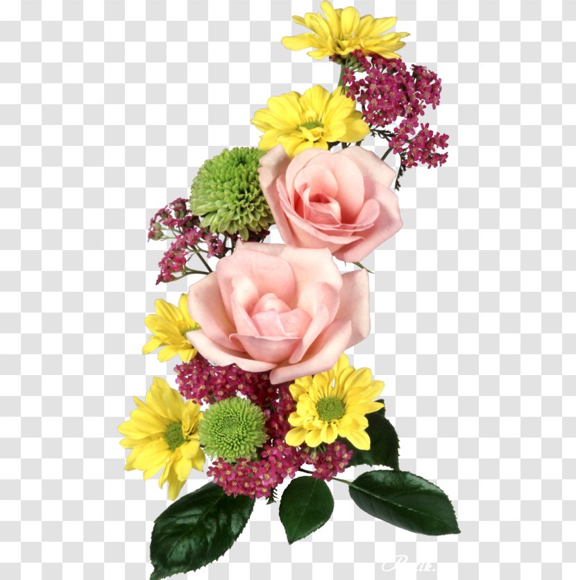 Garden Roses Floral Design Cut Flowers - Eyelash Curlers - Flower Transparent PNG
