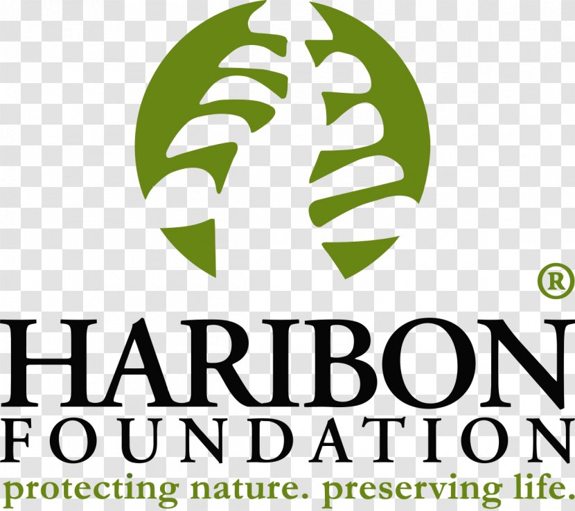 Haribon Foundation Conservation Philippines Philippine Eagle Organization - Plant Transparent PNG