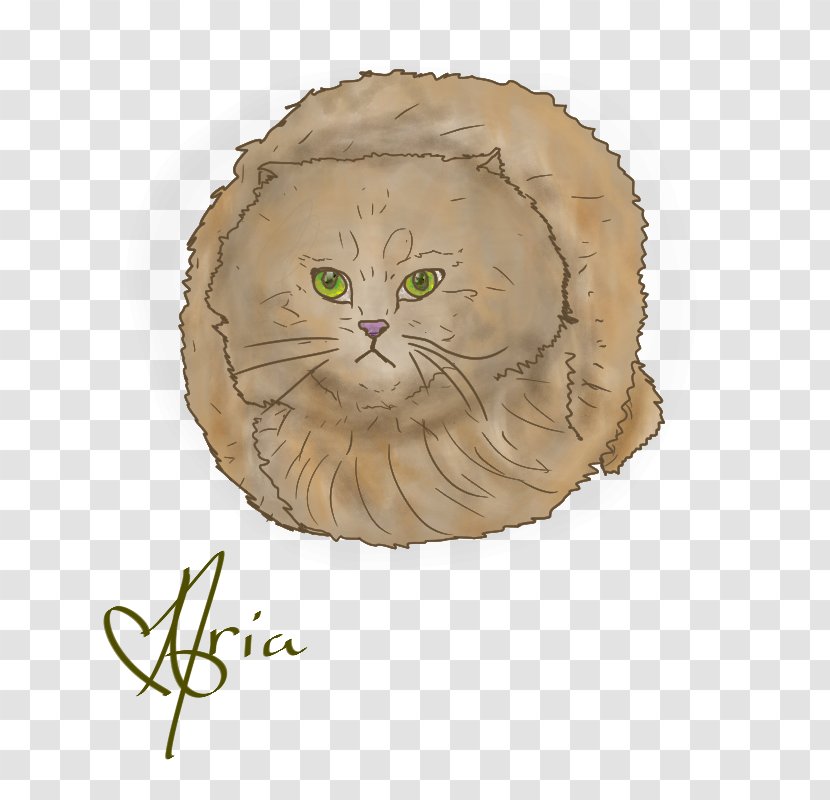 Wildcat Whiskers Tabby Cat Domestic Short-haired - Pet - Heart Attack Transparent PNG