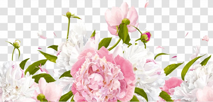 Peony Flower Clip Art Transparent PNG