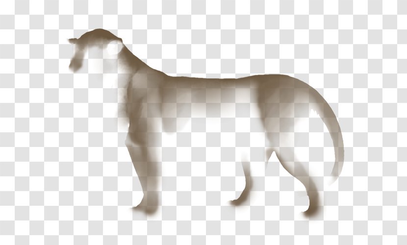 Dog Breed Lion Cat Snout Transparent PNG
