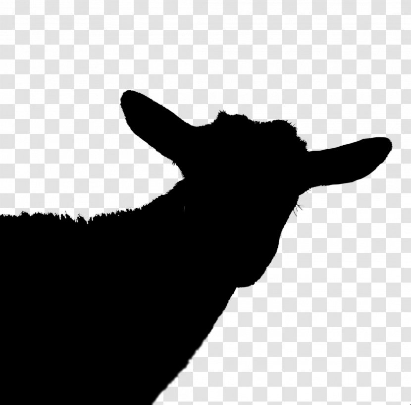 Cattle Goat Clip Art Silhouette Snout - Head Transparent PNG