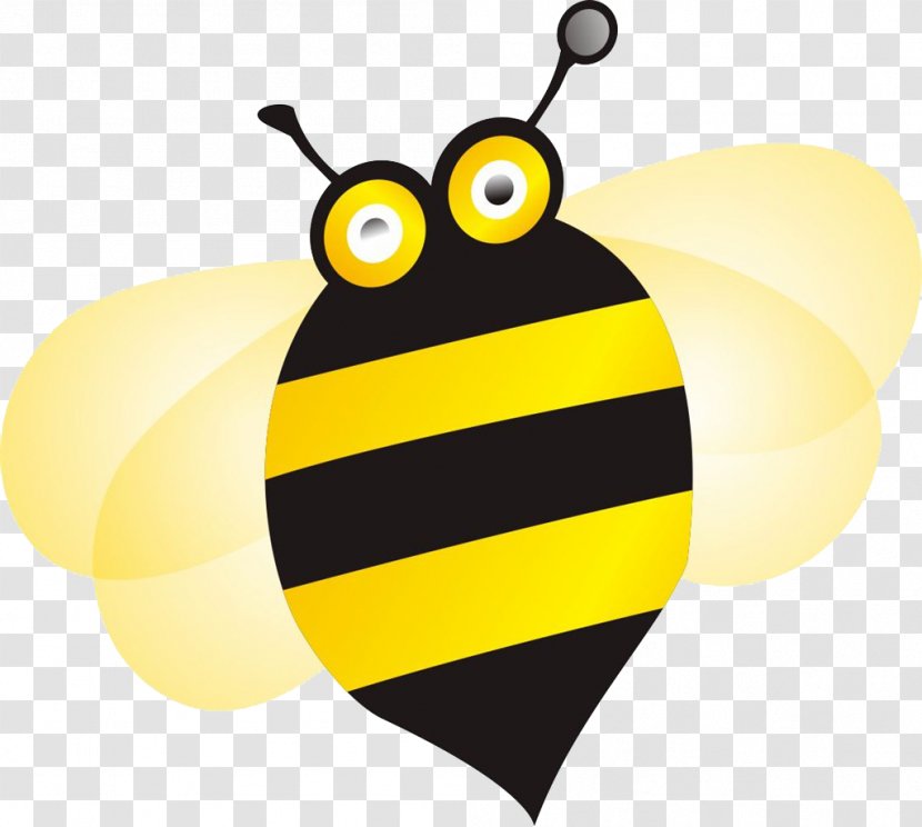 European Dark Bee Apidae Baidu Wangpan - Arthropod - Cartoon Transparent PNG