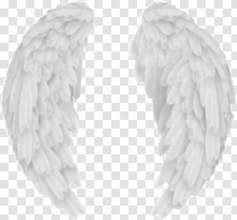 Feather - Ear - Jewellery Transparent PNG