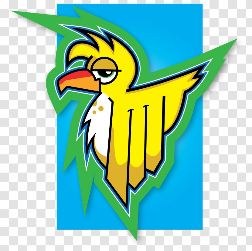 Beak Macaw Graphic Design Clip Art - Bird Transparent PNG