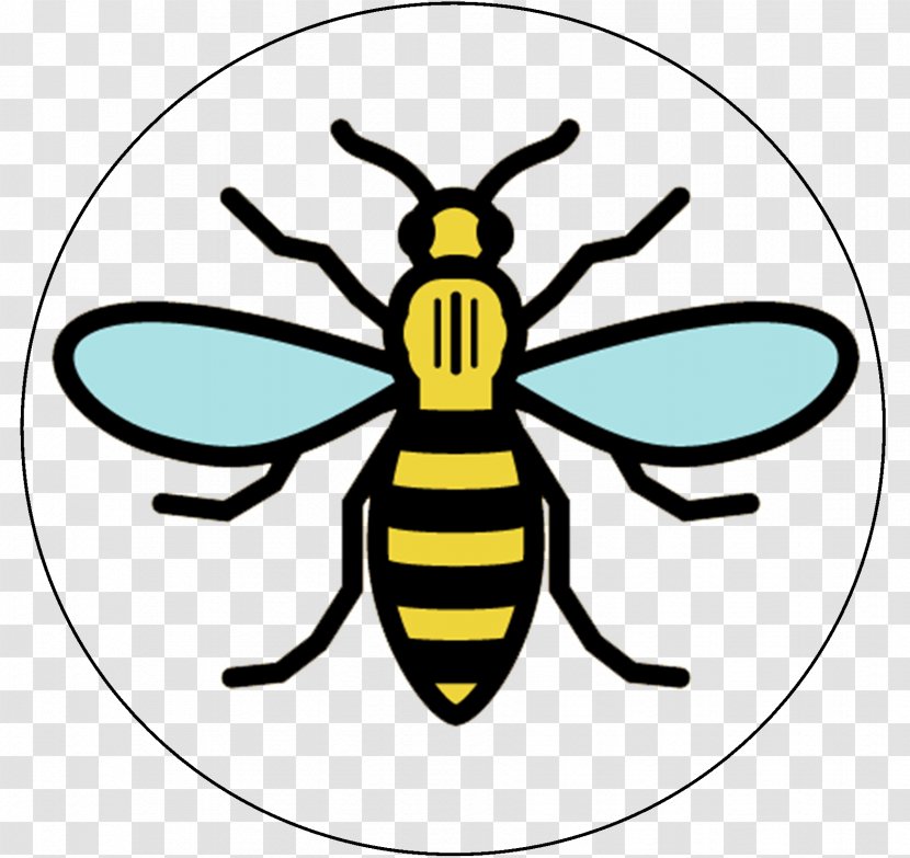 Manchester Storm Worker Bee Symbols Of - Beehive - Bees Transparent PNG