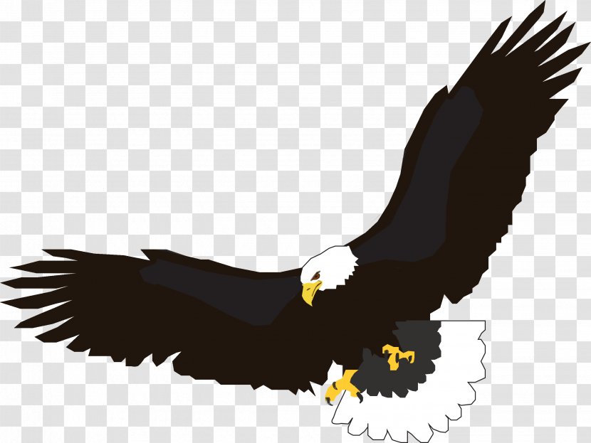 Eagle Clip Art - Golden - Flying Image Download Transparent PNG