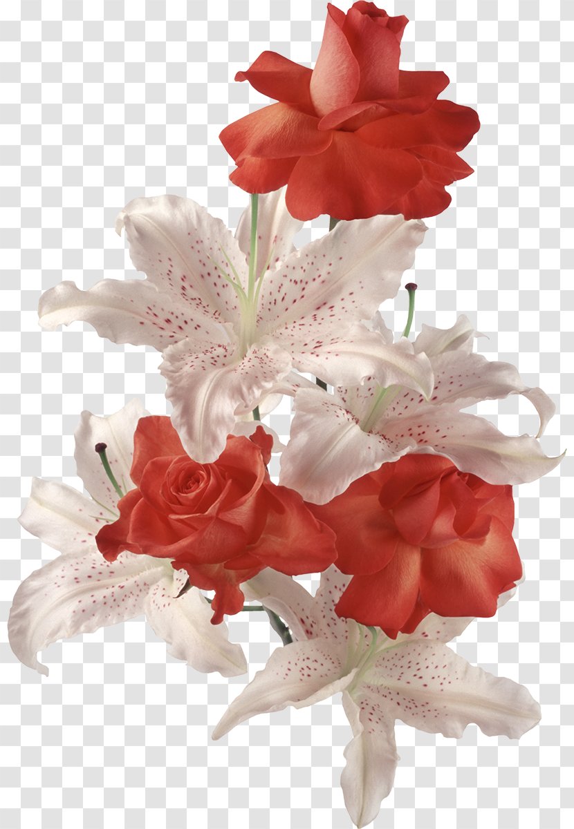 Cut Flowers Flower Bouquet Lilium - Gladiolus - Lilly Transparent PNG