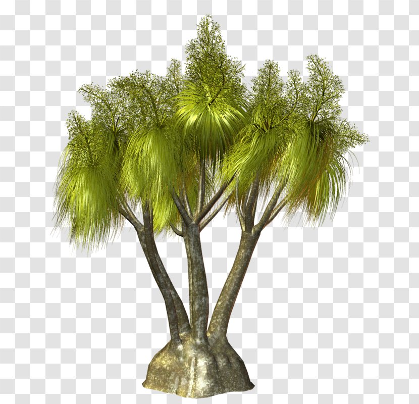 Palm Trees Image Clip Art - Flowerpot - Tree Transparent PNG