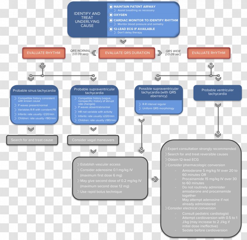 Pediatric Advanced Life Support Cardiac Basic Medicine Electrocardiography - Organization - Tachycardia Transparent PNG
