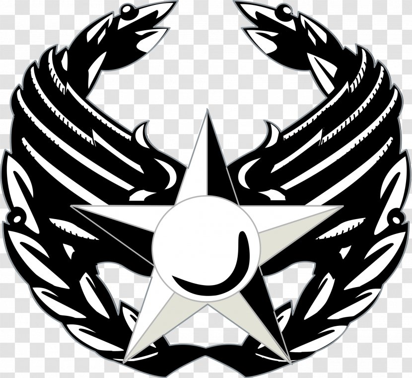 United States Air Force Enlisted Rank Insignia Commander Of America - Logo - Symbol Transparent PNG