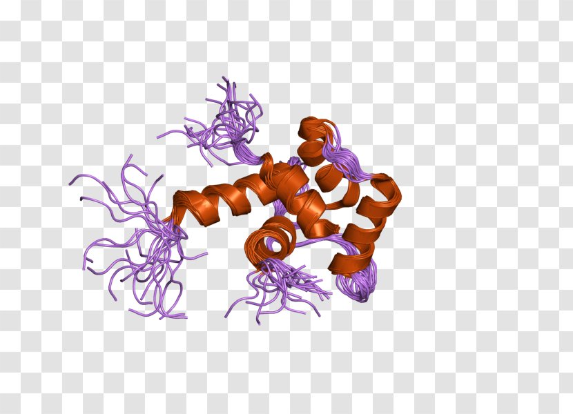 Centrin 1 2 Protein Family - Xeroderma Pigmentosum Transparent PNG