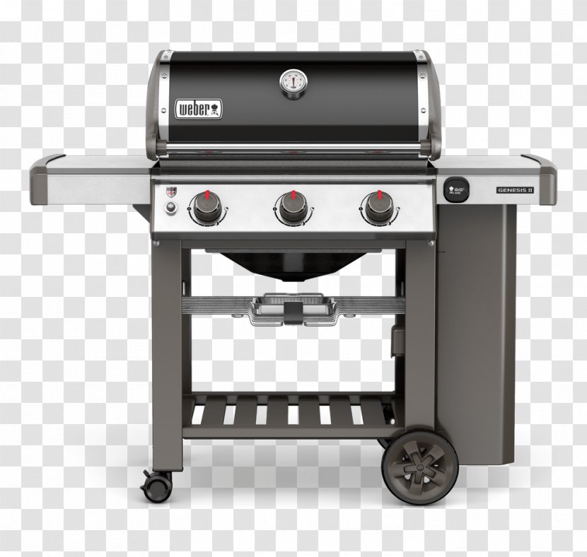 Barbecue Propane Natural Gas Weber-Stephen Products Burner - Grilling - Special Gourmet Transparent PNG