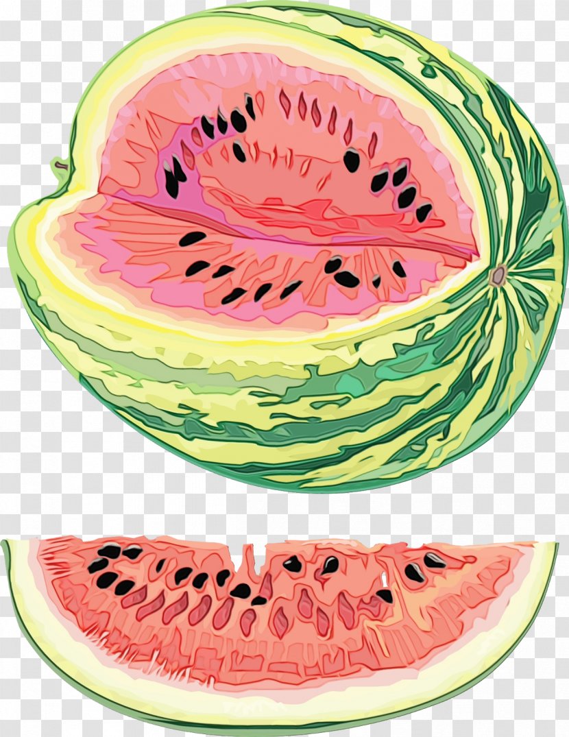 Watermelon Background - Plant - Citrullus Transparent PNG