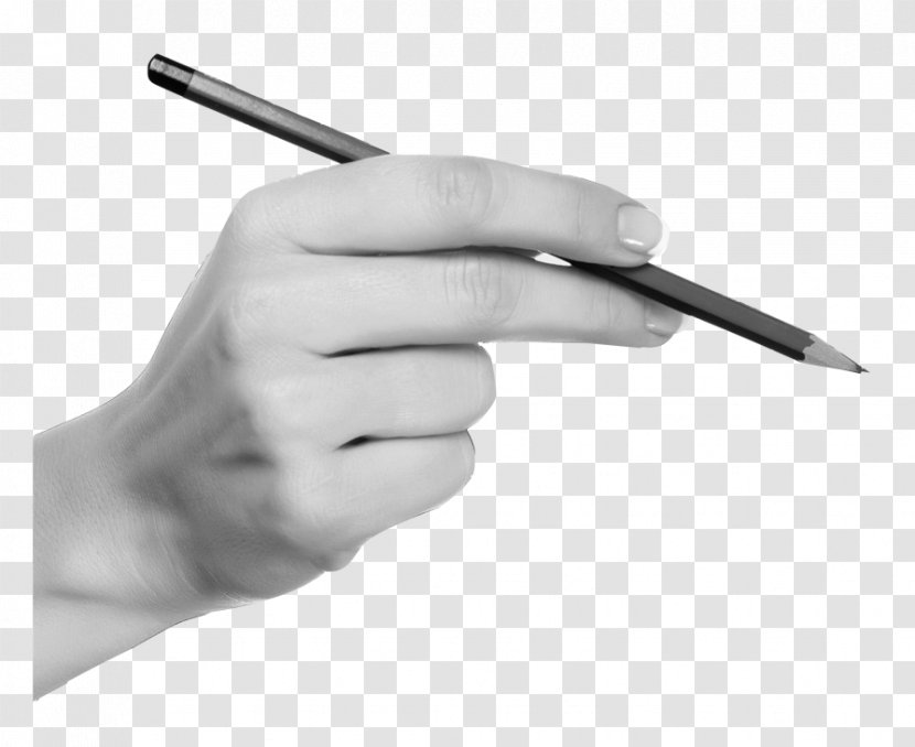 Pen Hand - Vecteur - Holding In Transparent PNG