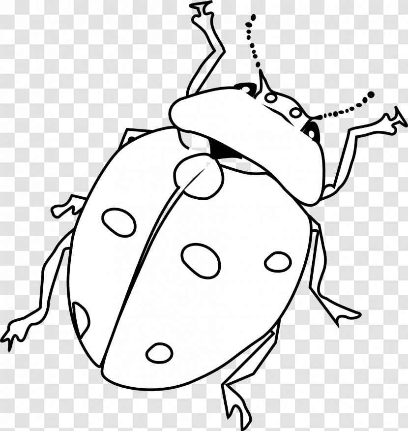 Beetle Coloring Book Ant Child - Cartoon Transparent PNG