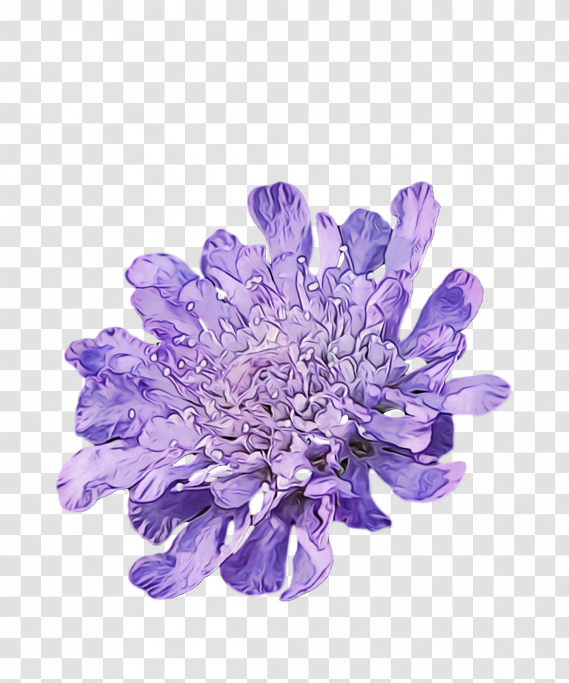 Lavender Transparent PNG