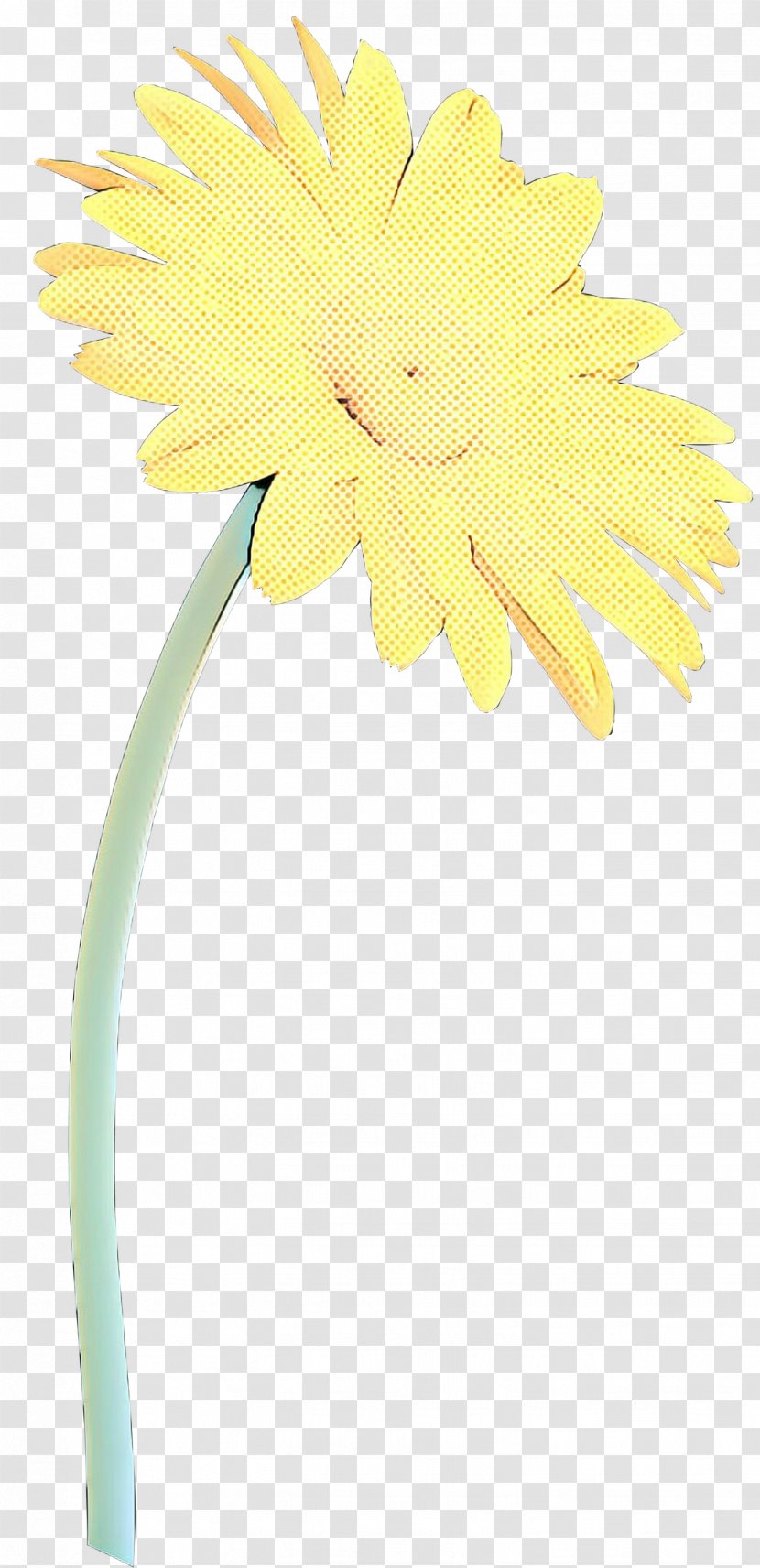 Flowers Background - Plants - Daisy Family Plant Transparent PNG