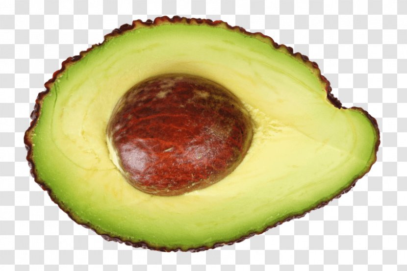 Hass Avocado Oil Fruit - Avocato Transparent PNG