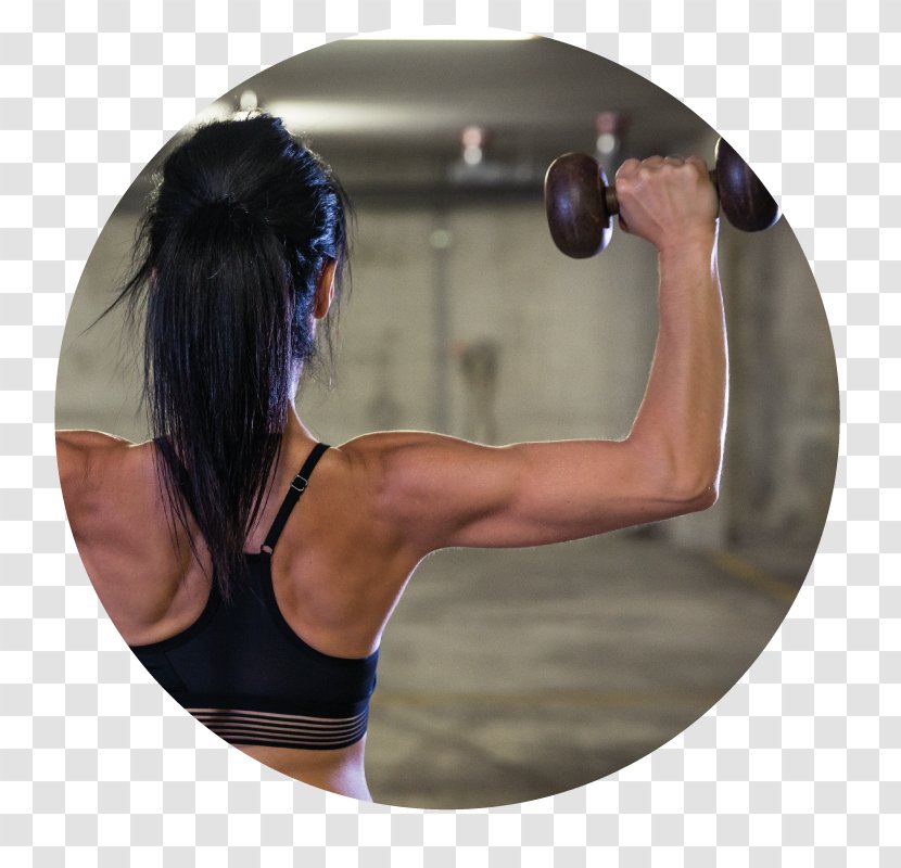 Physical Fitness Shoulder Weight Training - Flower - Musculation Transparent PNG